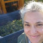 De coach à vendangeuse : 7 jours, 7 leçons de vie à 50 ans